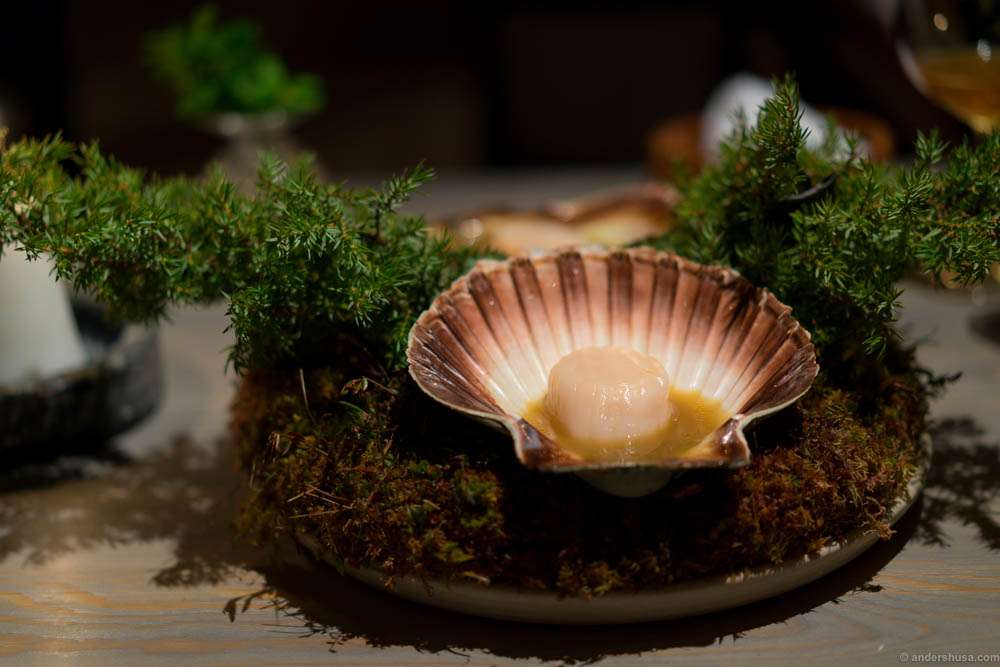 Scallop cooked in its own shell over burning juniper branches