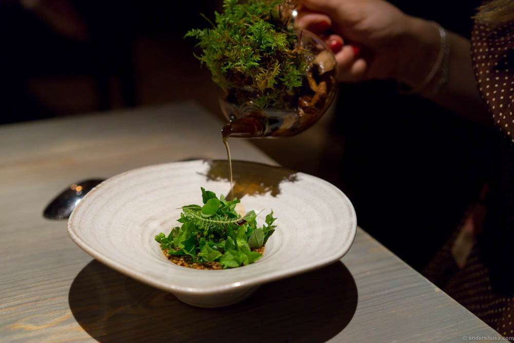 Porridge of grains and seeds from Jämtland finished with a big lump of salty butter, fermented carrot and wild leaves, meat broth filtered through moss