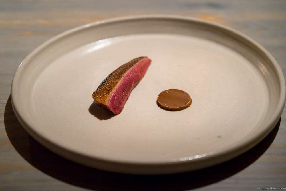 Duck with fermented, roasted and finely ground lupin bean