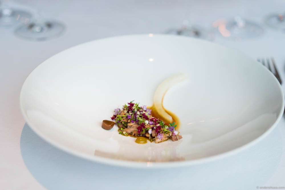 Grilled pork on the "bone," pickled pine & blackcurrant leaves