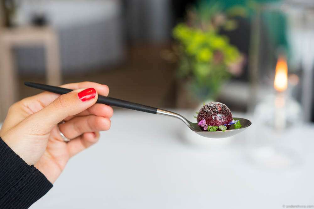 A bite of beetroot, rhubarb, yogurt & tagetes
