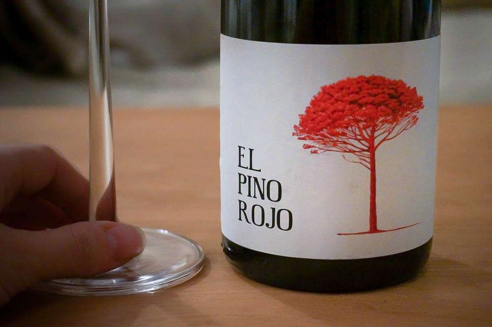 El Pino Rojo, Barranco Oscuro, 2014. Photo: Linn Johnsen