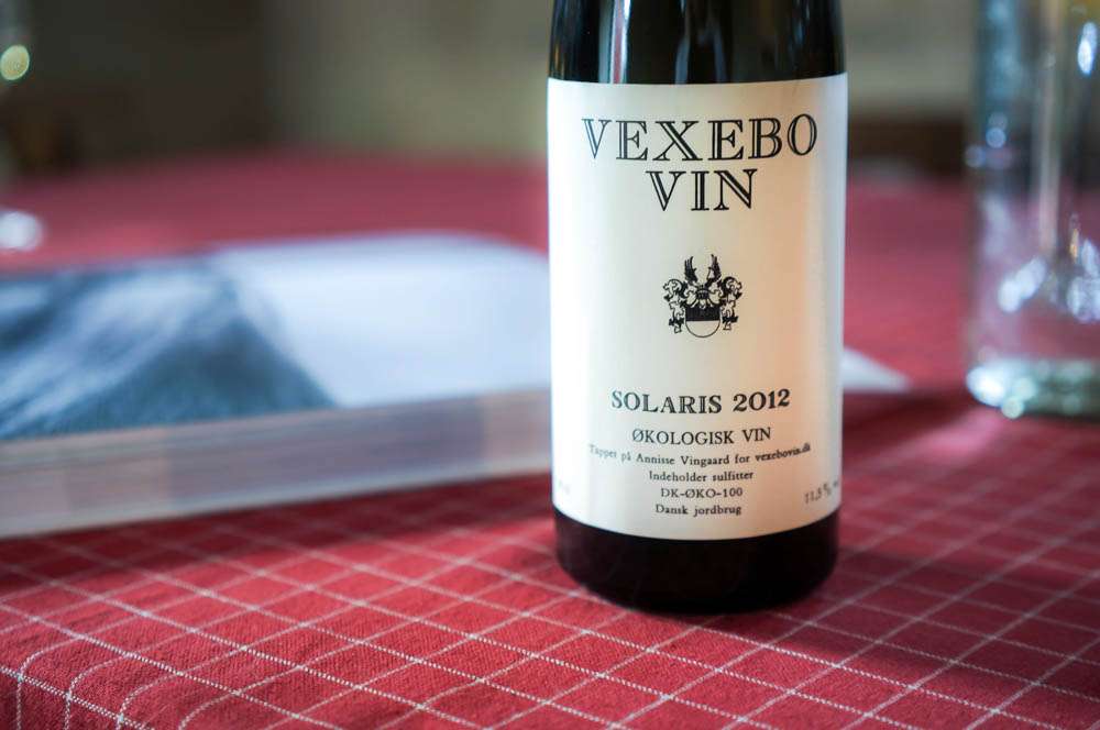 Solaris, Vexebo Vin, 2012. Photo: Linn Johnsen