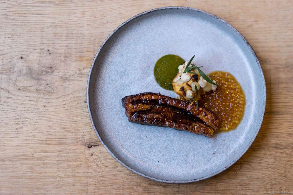 Grilled organic pork marinated in "øllebrød," with baked celeriac, lemon and sunflower seeds, tarragon butter, and mushroom sauce at restaurant Substans in Aarhus, Denmark.