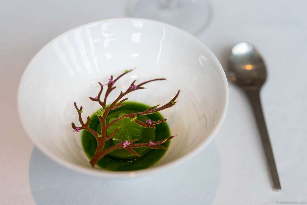 Wood sorrel & woodruff at restaurant Geranium in Copenhagen, Denmark