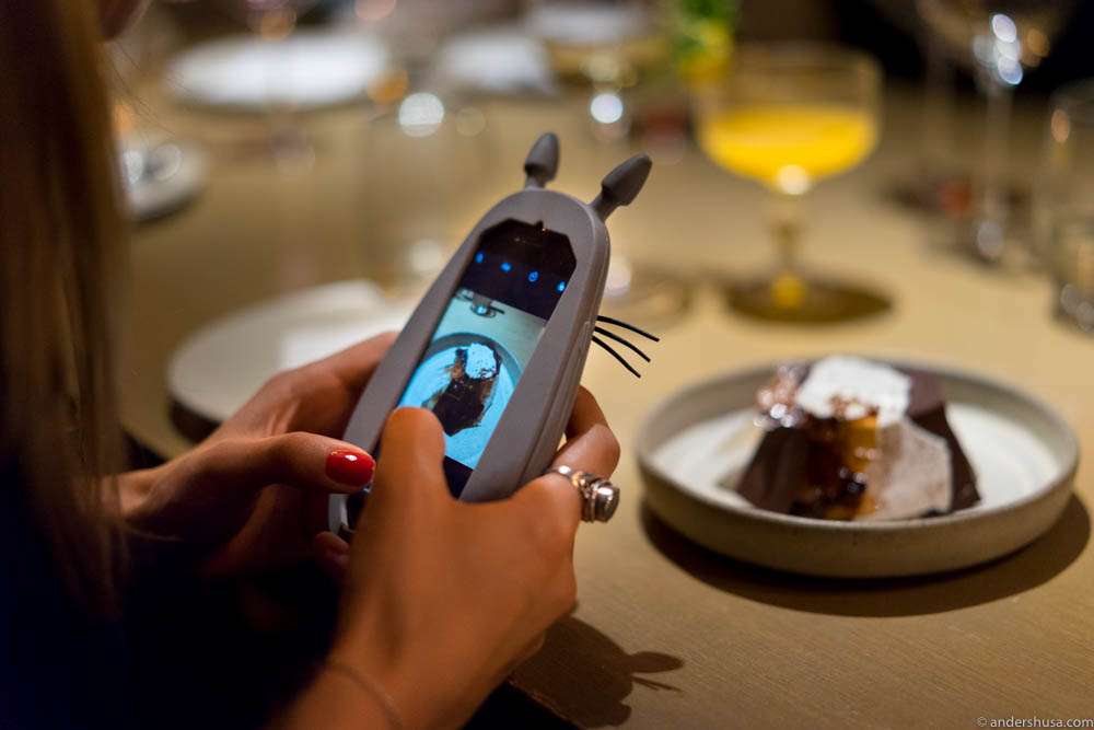 Totoro captures the moment!