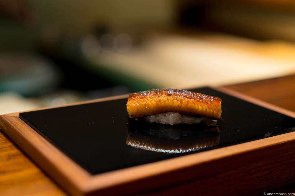 Eel Unagi