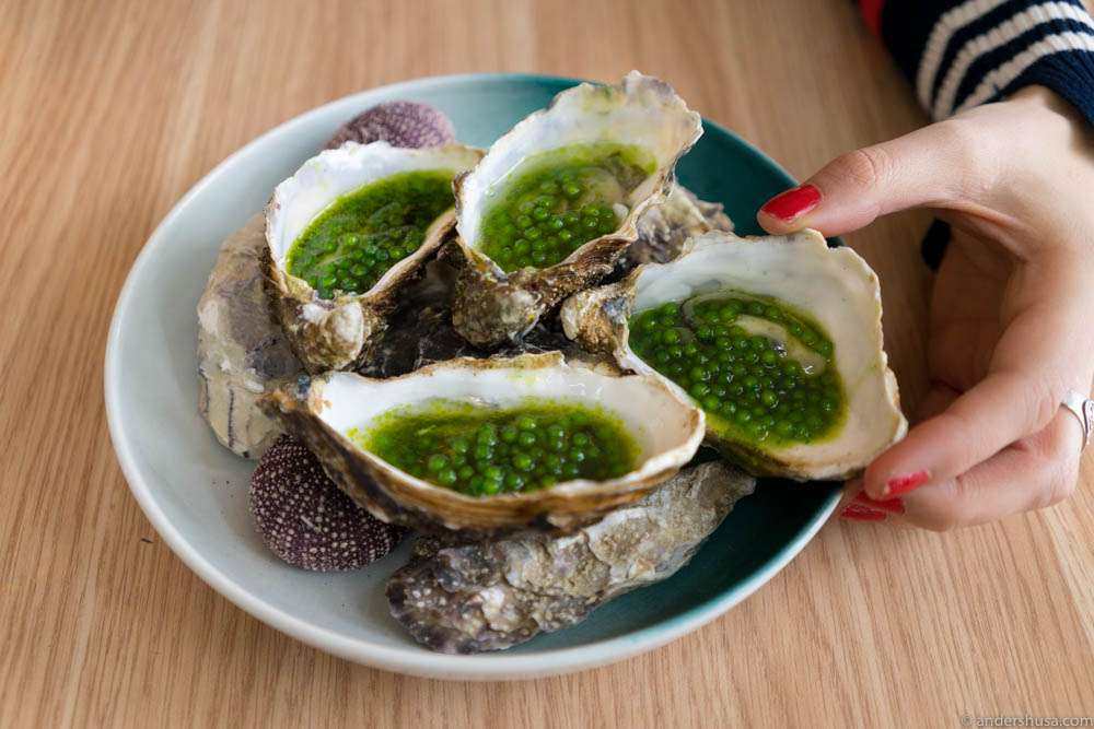 Oysters with tapioca pearls, jalapenos, green tabasco, green tea & ponzu.