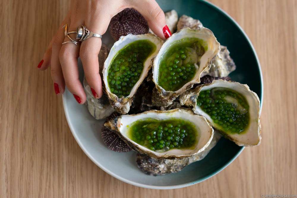 Oysters with tapioca pearls, jalapenos, green tabasco, green tea & ponzu