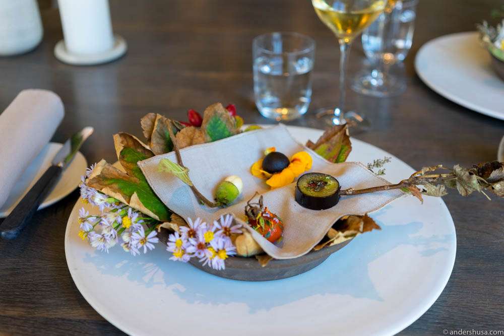 Late summer fruit: Reeves plum with kelp skin, fresh hazelnut, rosehip filled with berries & nasturtium stuffed with a black currant berry