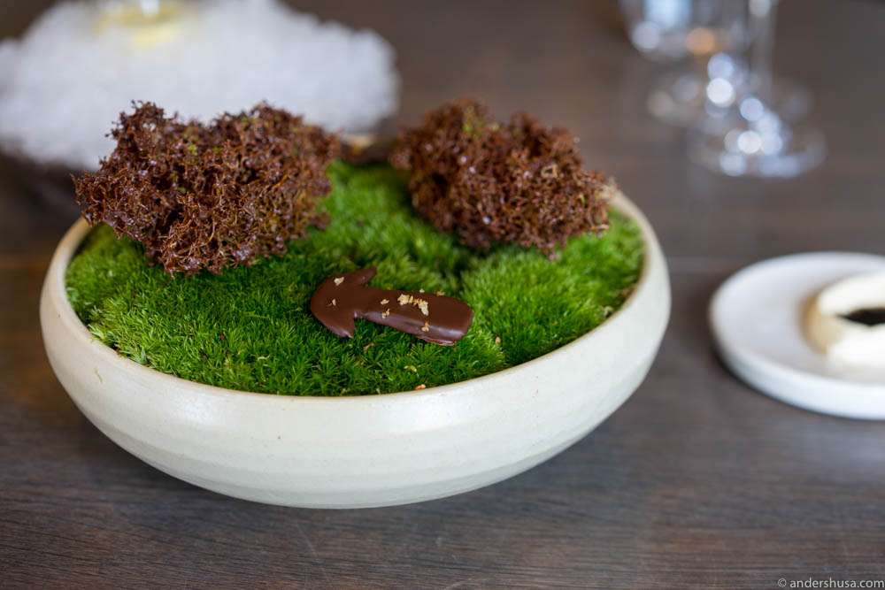 Moss and cep mushroom sprayed with chocolate