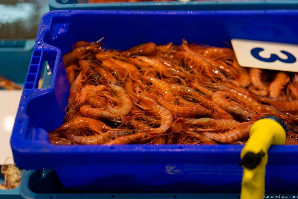 The Dénia red prawns are sorted by size. No. 1s are the biggest. These are medium sized.