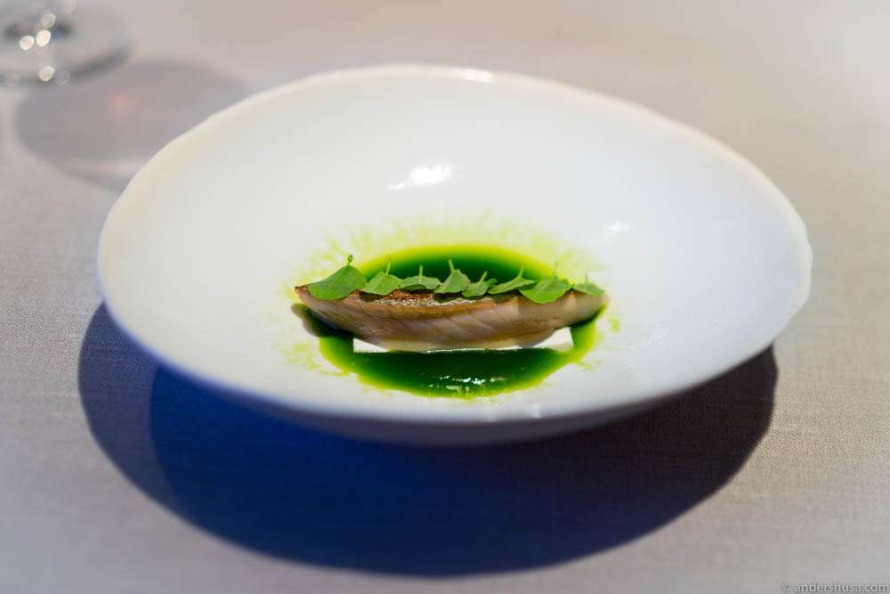 Warm and cold mackerel (fried on the skin, raw on the bottom) with cream of dandelion, in a rhubarb, sorrel and fennel juice