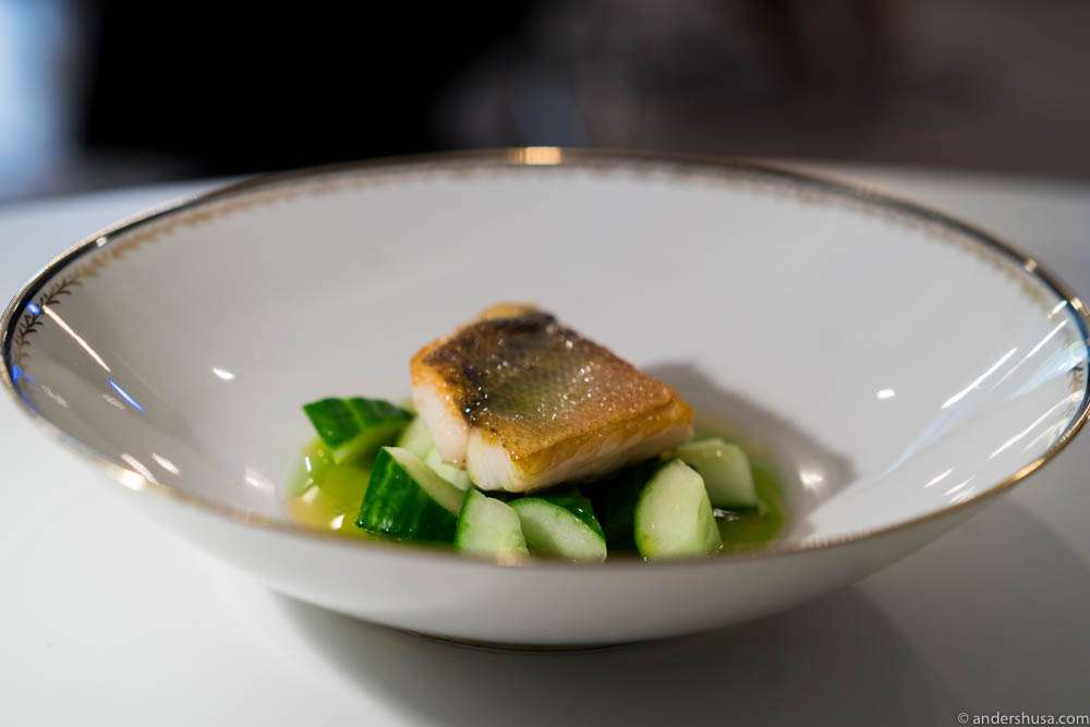 Pike-perch, cucumber, brown butter and dill