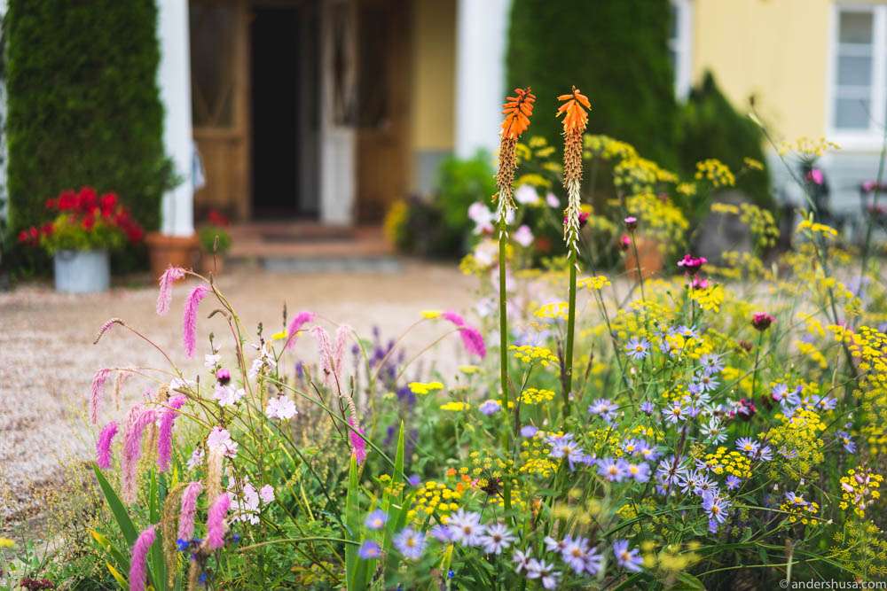 Summer flowers outside Talldungen