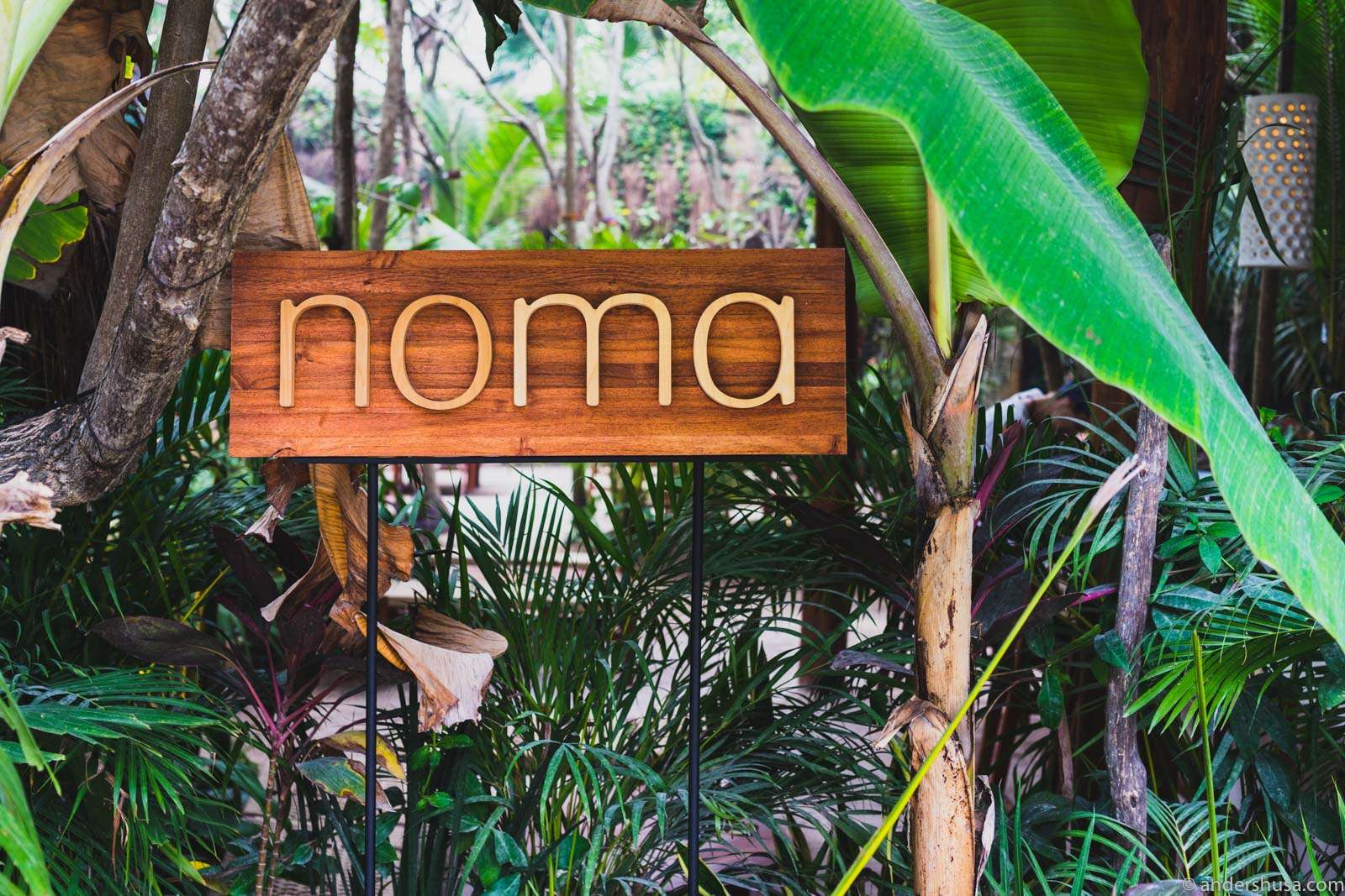 noma-mexico-tulum-rene-redzepi-popup-restaurant-review-food-foodie-eat ...