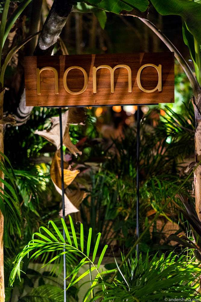 Good night, Noma Mexico. See you again never