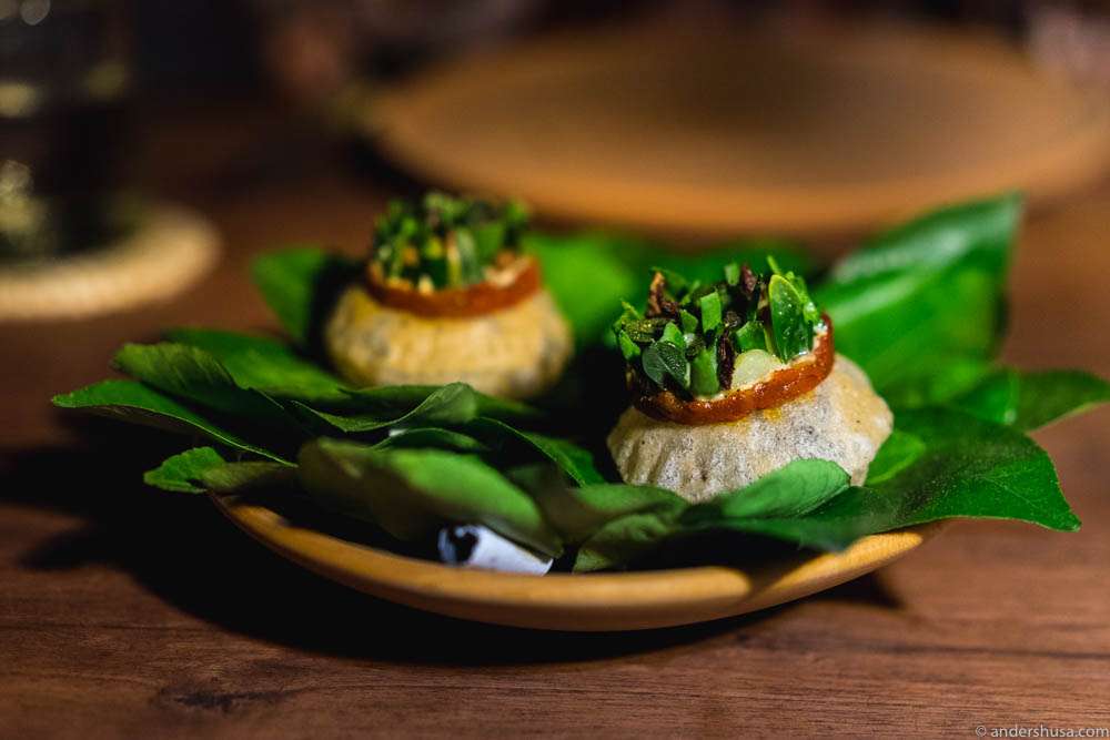 Salbute (puffed tortilla) with dried tomato, local beach herbs, seasoned with chapulines (grasshoppers)