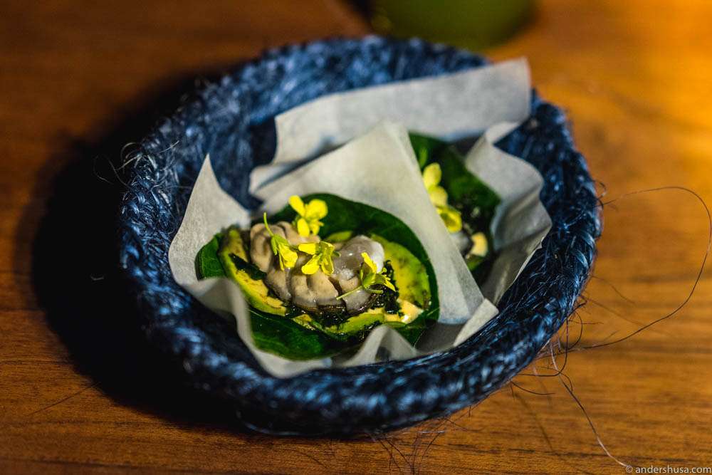 Chaya taco (local cabbage) with fresh Bahia Falsa oyster, avocado, habanero & mustard flower