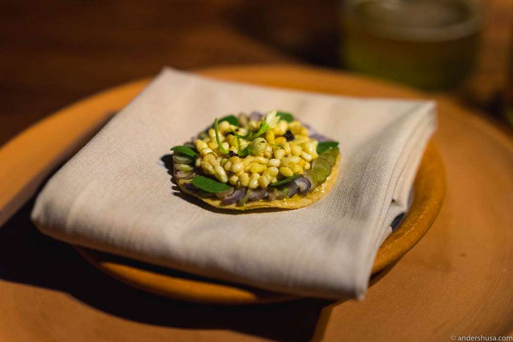 Tostada with escamoles (ant eggs) and fresh beans