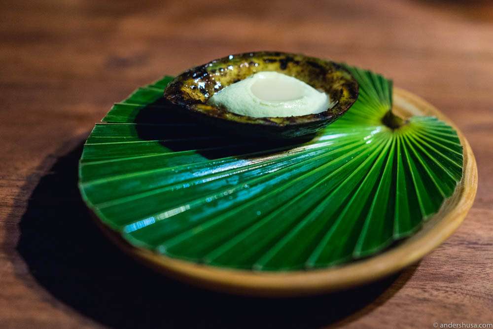 Grilled avocado, ant paste, avocado ice cream & mamey seed oil