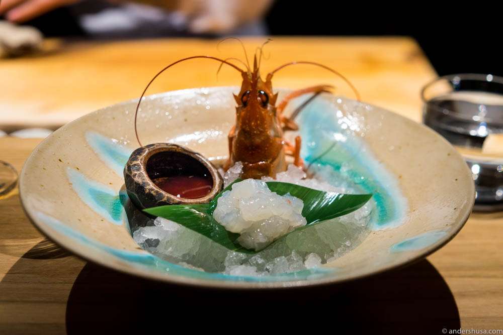Langoustine sashimi with shoyu sauce