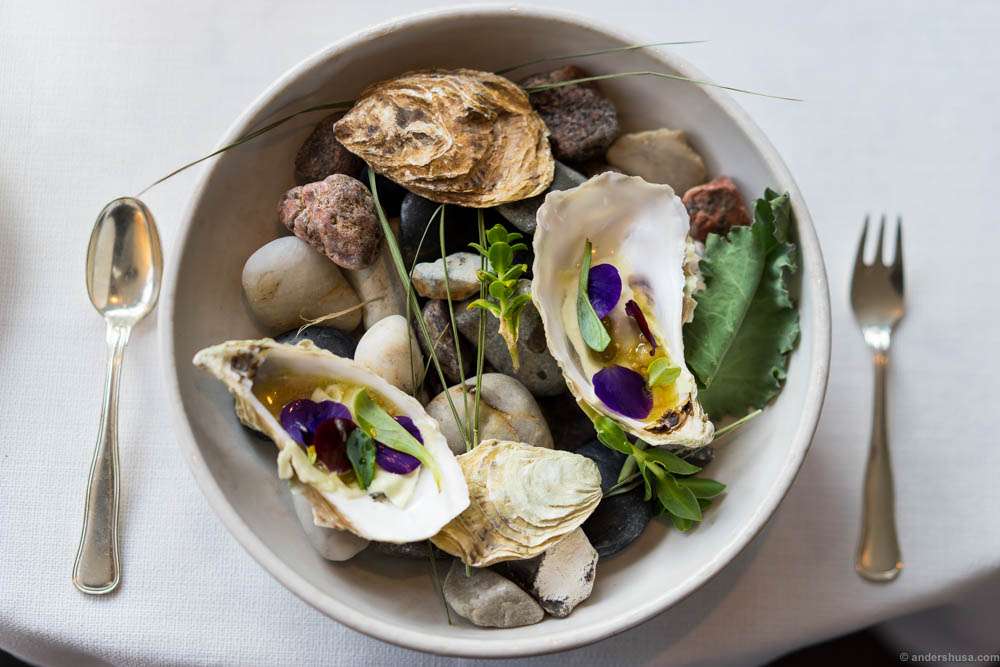 The oyster serving at Falsled Kro, with grapes, salty white currants, horseradish cream & flowers from the garden