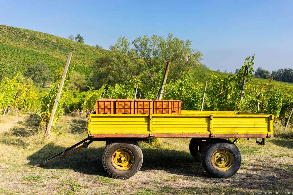 The Lamoretti winery