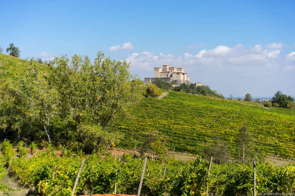 The castle of Torrechiara seen across the vineyard of the Lamoretti winery