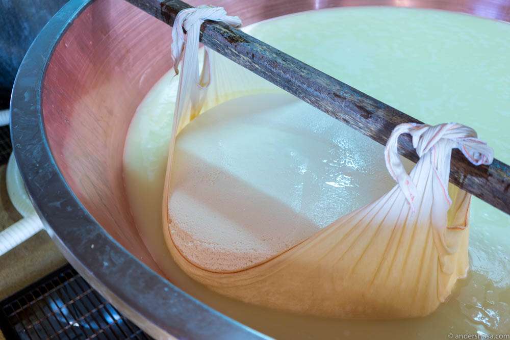 The new-born baby curd is gently lifted out of the cauldron ...