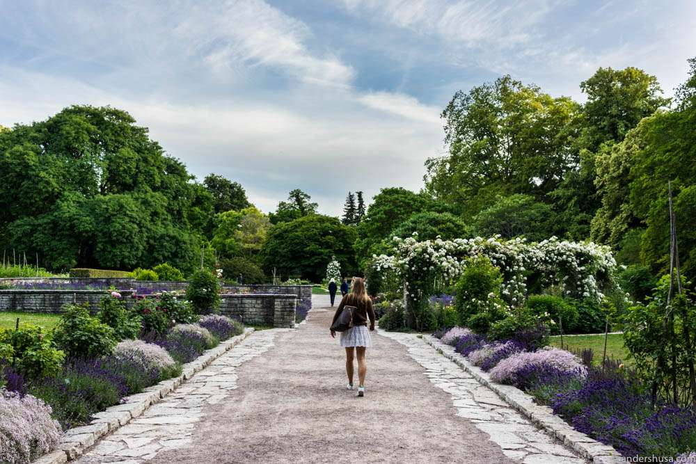 Image result for visby botanical garden