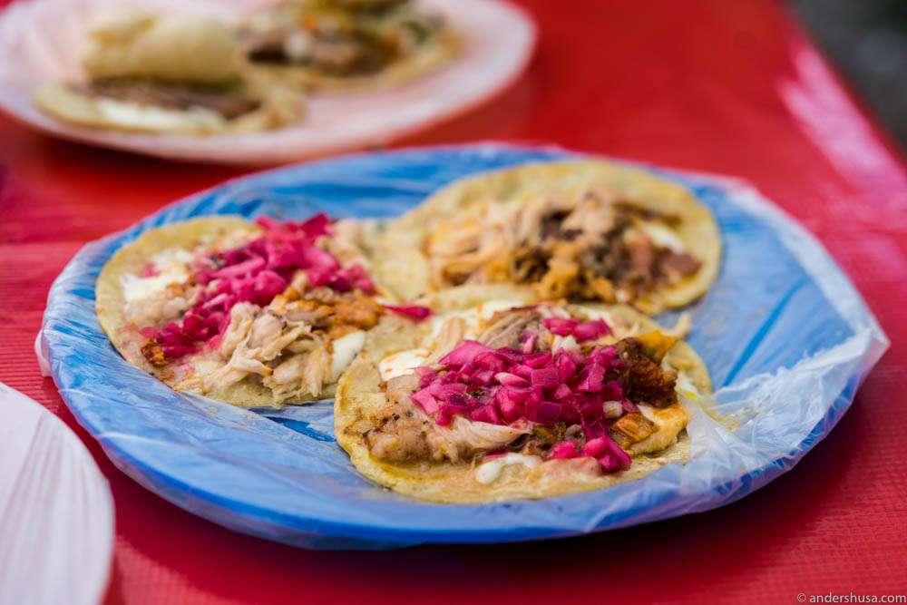 Cochinita Pibil with pickled red onions at Taqueria Honorio