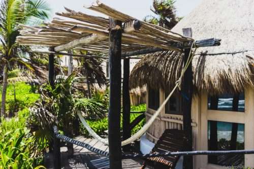 http://Papaya%20Playa%20Project