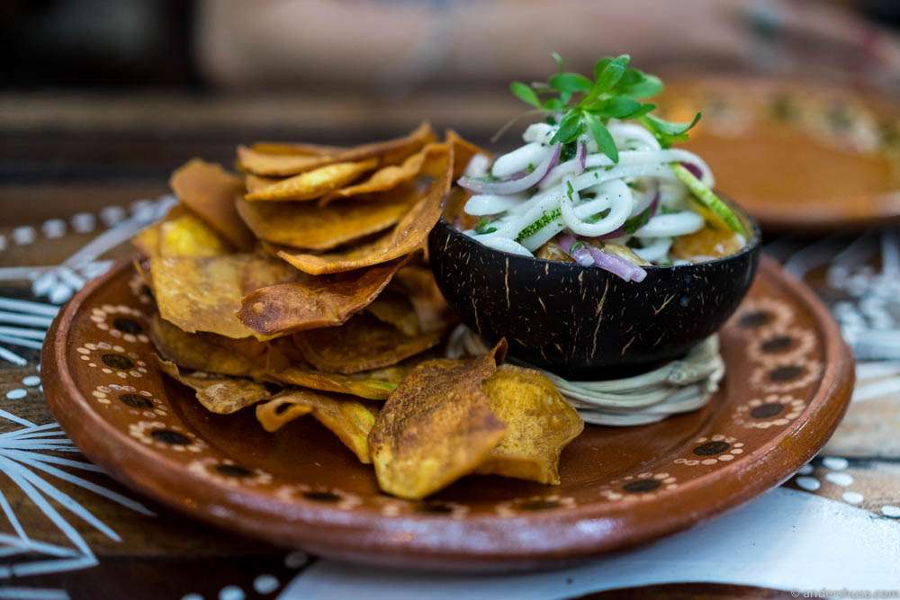 Coconut ceviche with crispy sweet potato chips