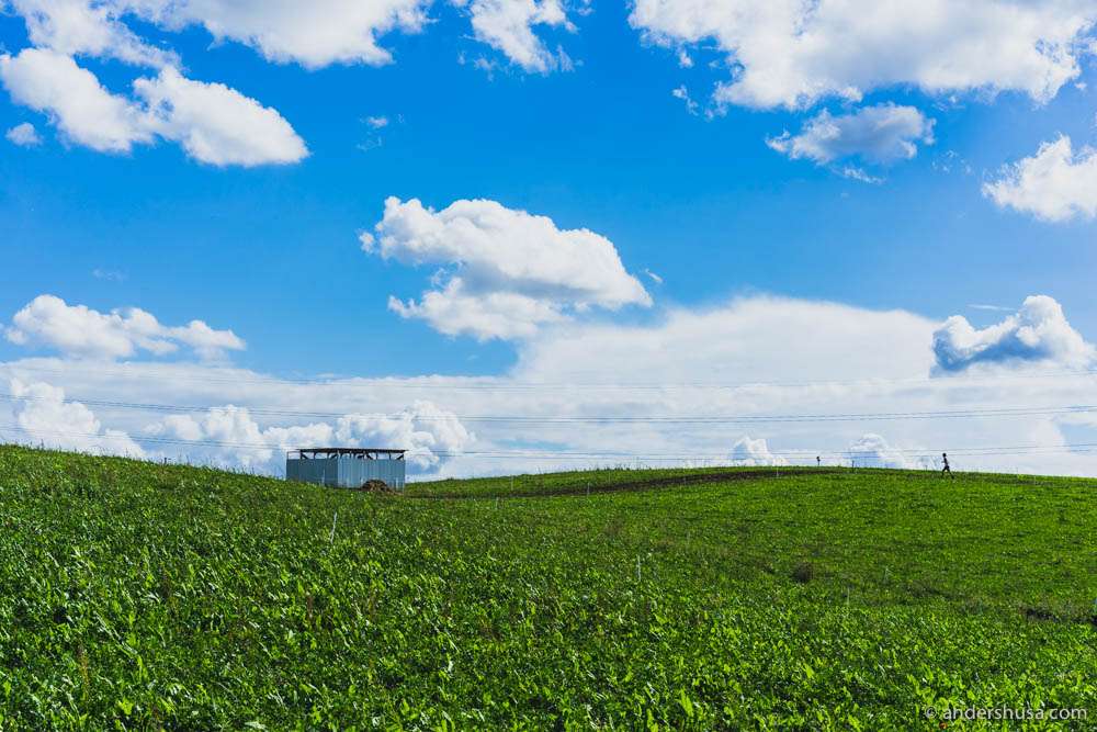 The mobile milking station at Christian Puglisi's Farm of Ideas