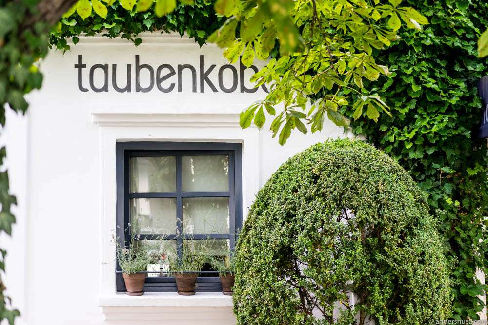 Welcome to Taubenkobel in Burgenland