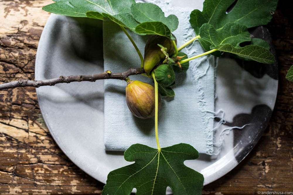 Fresh figs awaited us in our room at Taubenkobel