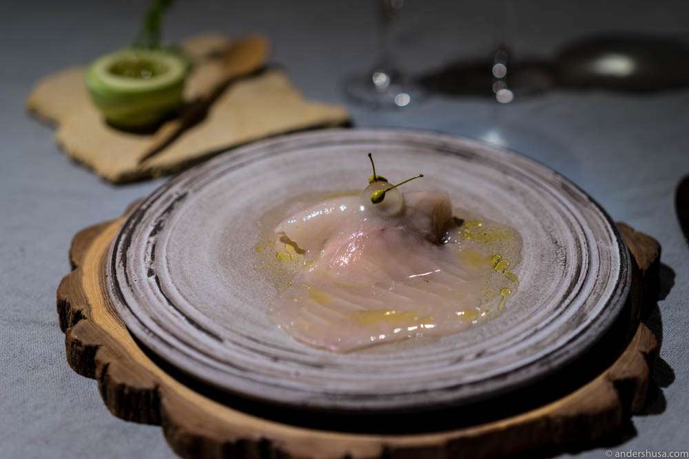 Trout & vermouth