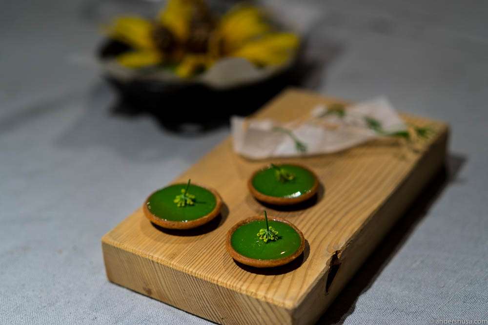 Dill root pie
