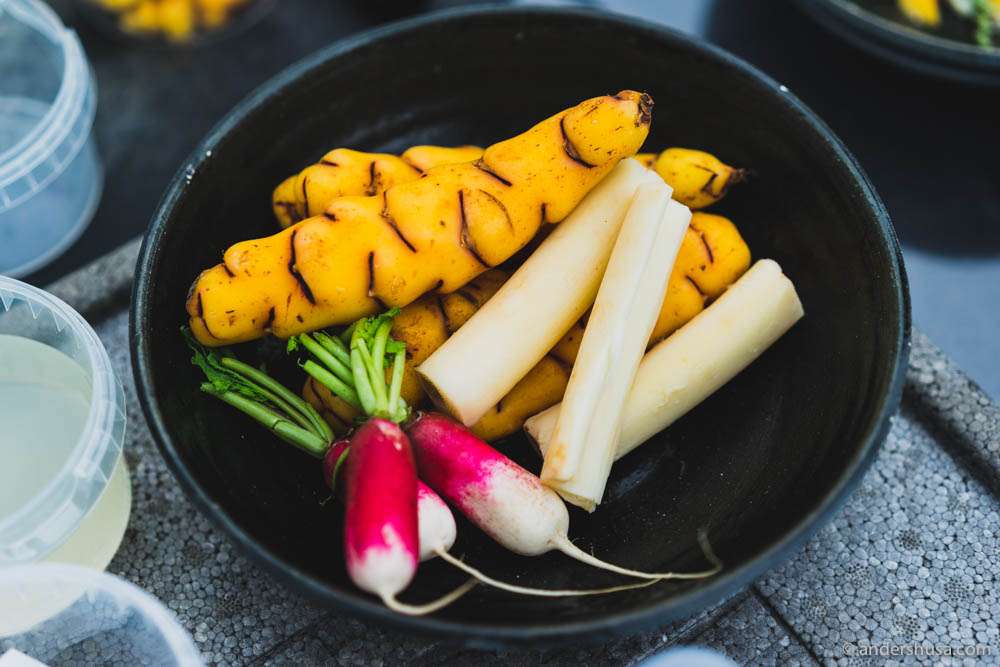 The distinctively orange oca root