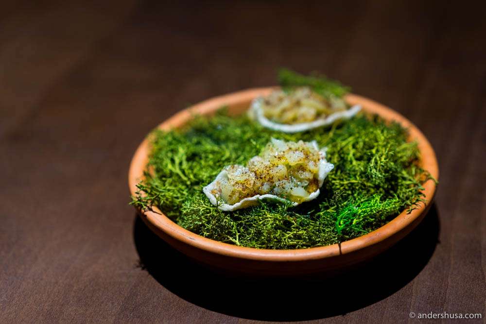 Bacalhau cakes