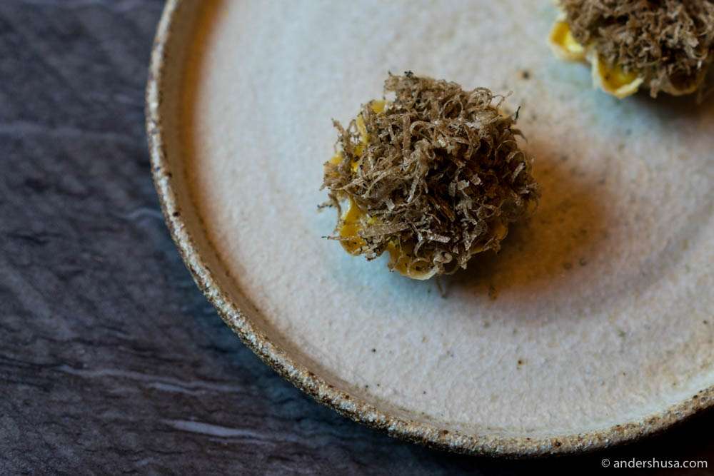 Yuba! Scrambled eggs from guinea-fowl with condensed Swedish maple syrup & autumn truffle