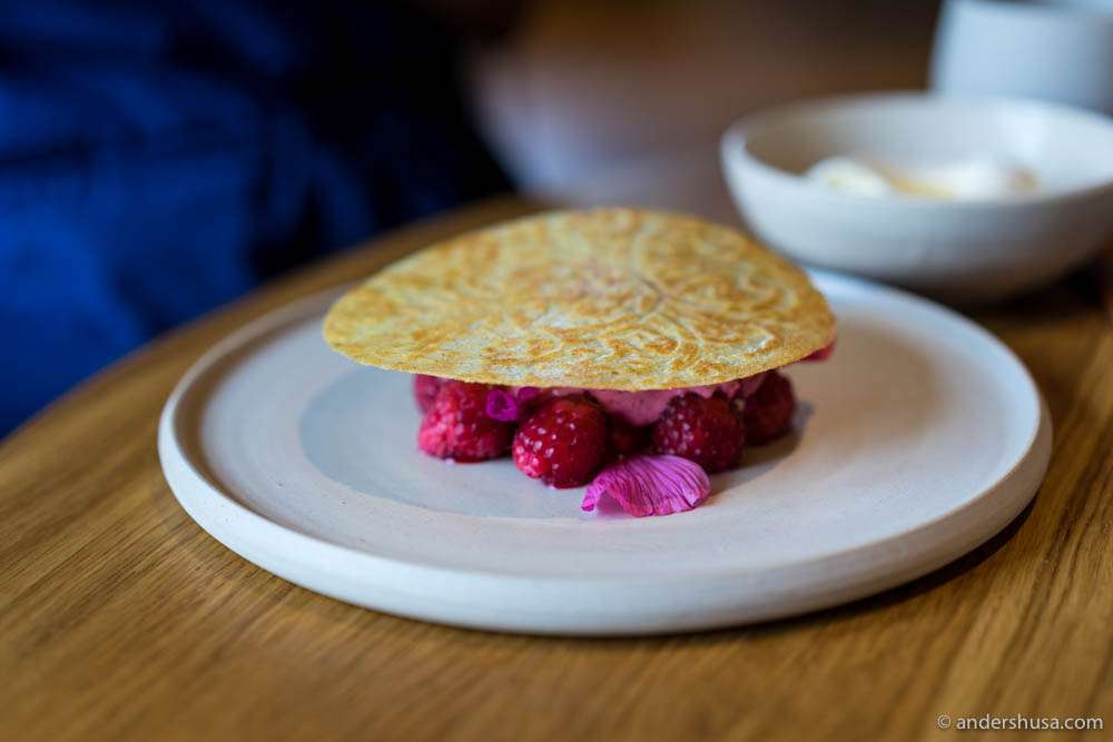 Southern Jutland waffles "Gode Råd," with raspberries, raspberry ice cream & kernel oil