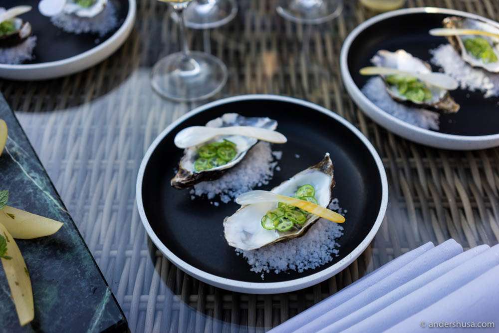 Irish oysters, heavy cream & baby cucumbers