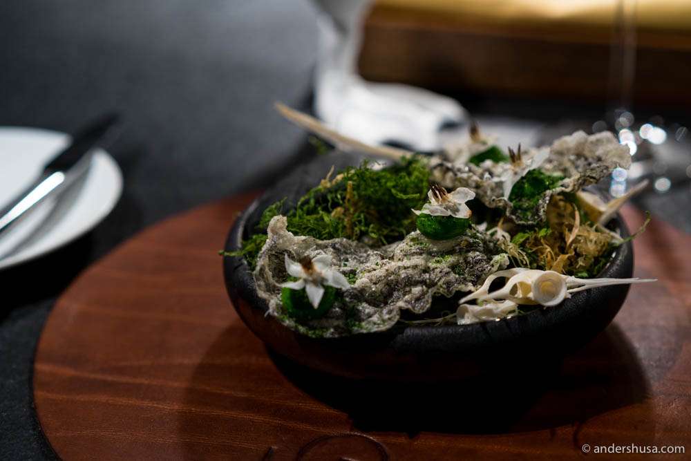 Crispy fish skins with emulsified dill and dried seaweed