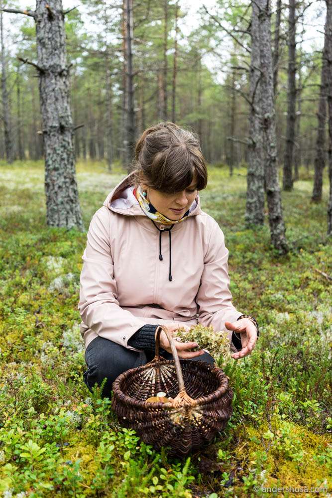 Orm Oja's foraging queen: Maret Allikas
