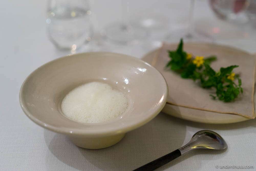 Ragout of chanterelles and fava beans