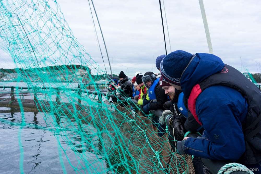 Inspecting the aquacultures
