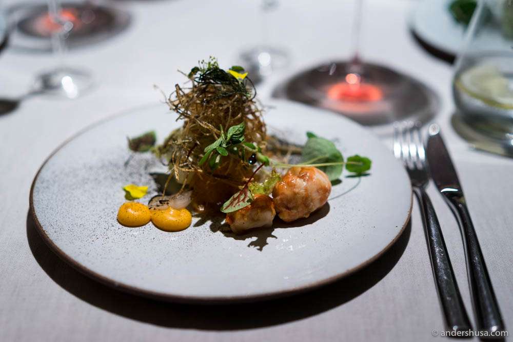 Flusskrebssalat – crayfish salad
