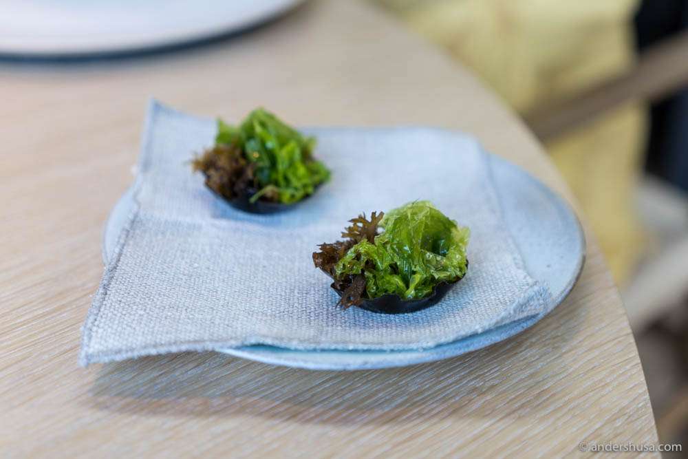 Seaweed tarts